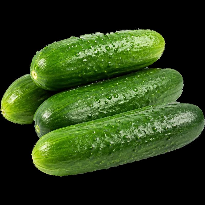 מלפפון