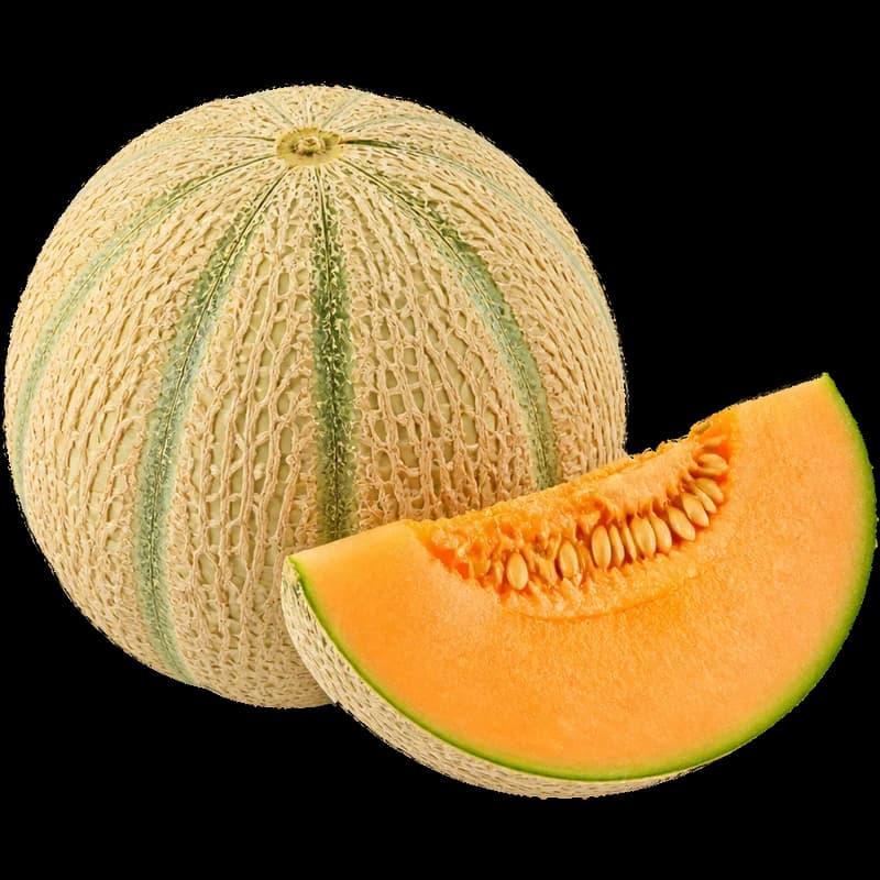 מלון כתום