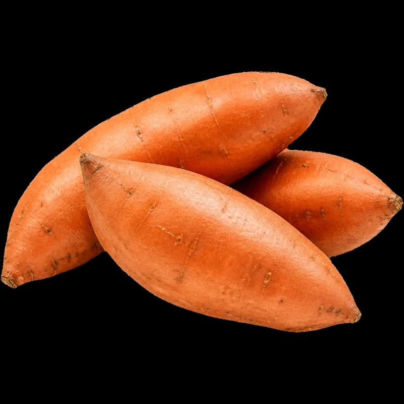 בטטה איכות מעולה