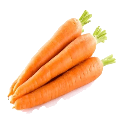 גזר ארוז