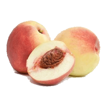 אפרסק לבן