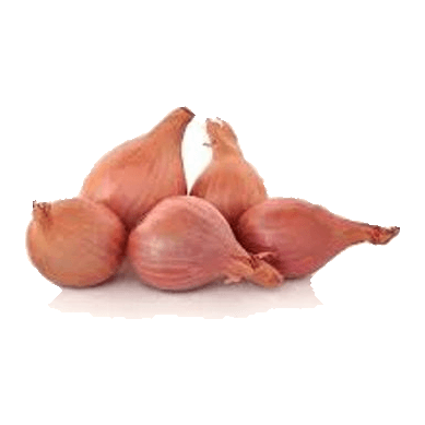 בצל שאלוט