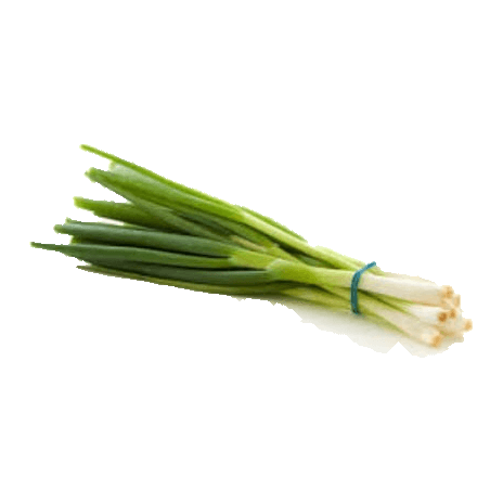 בצל ירוק